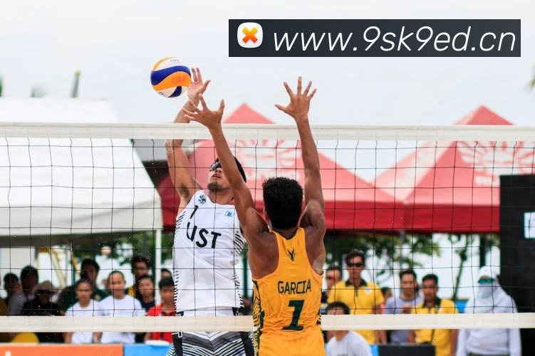 星空网官网免费入口平台生态图