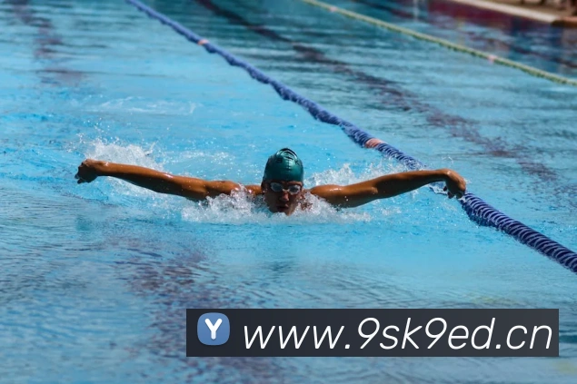 星空网官网免费入口全站App